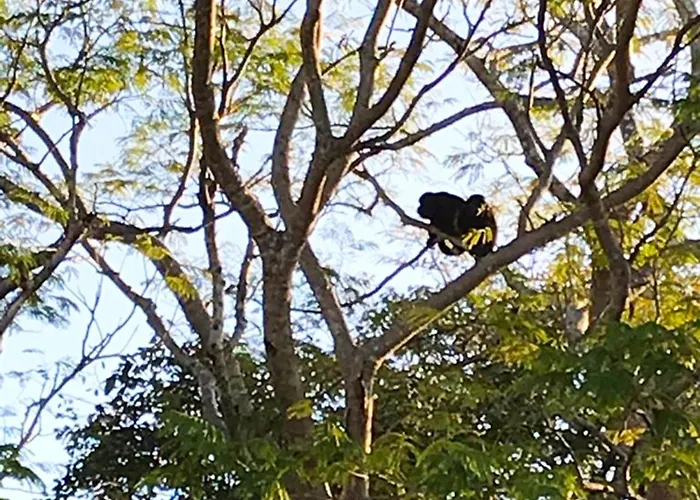 Hébergement de vacances Casa Jaguarundi- Amazing Secluded