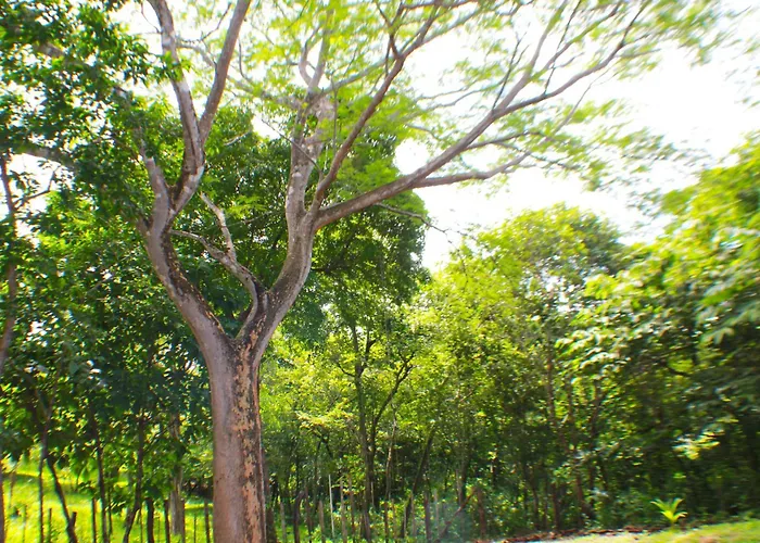 Casa Jaguarundi- Amazing Secluded